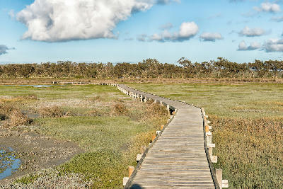 Wooden boardwalk crossing the tidal wetlands toward Geelbek Bird Hide on Langebaan Lagoon in West Coast National Park, South Africa.