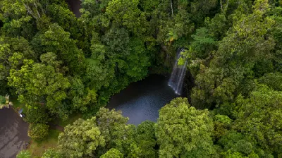 High aerial view of Millaa Millaa Falls and its plunge pool surrounded by dense tropical rainforest in Queensland, Australia.