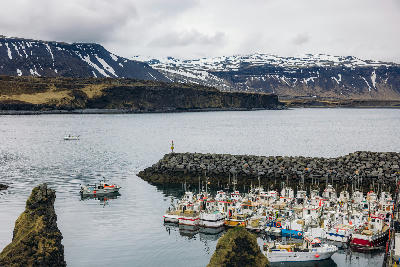 Fishing boats moored in Arnarstapi Harbour beneath coastal basalt cliffs on the Snæfellsnes Peninsula, Iceland.