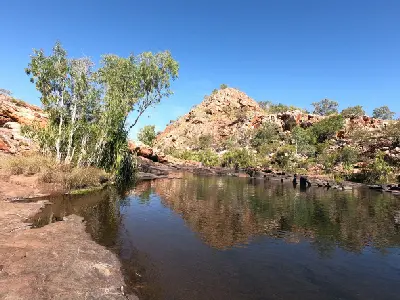Calm pool surrounded by sandstone ledges, eucalyptus trees and rugged rocky hills at Dalmanyi (Bell Gorge).