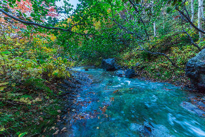 Turquoise hot spring stream flowing through forest at Kamuiwakka Hot Falls with autumn foliage