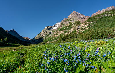 Maroon Creek Valley wildflowers with Maroon Bells in background Aspen Colorado