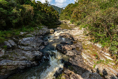 Mountain river flowing through tropical rainforest landscape in Ranomafana National Park, Madagascar.