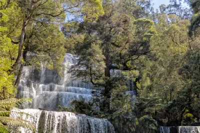 Upward view of Russell Falls cascading over moss-covered rock ledges amid dense temperate rainforest in Mount Field National Park, Tasmania.