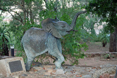 Elephant statue at the entrance to the Letaba Elephant Hall in Letaba Rest Camp, Kruger National Park.