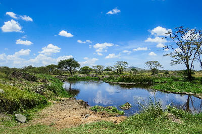 Calm hippo pool surrounded by acacia woodland and open savanna in Lake Manyara National Park, northern Tanzania.