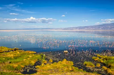 Panoramic view of Lake Natron with thousands of lesser flamingos feeding in shallow alkaline water beneath a blue sky in northern Tanzania.