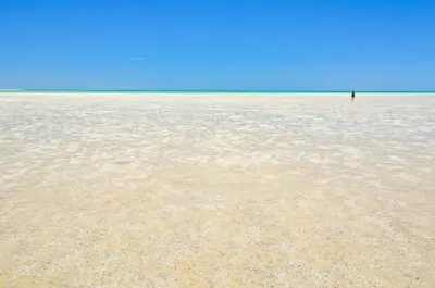 A lone visitor crosses the pale tidal flats at Shell Beach beneath a wide blue sky.