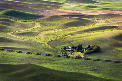 Rolling green farmland and farmhouse viewed from Steptoe Butte in the Palouse region of Washington