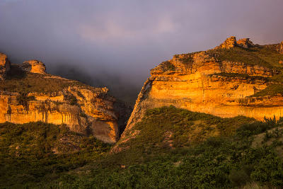 Golden sandstone cliffs and the natural Golden Gate Arch illuminated by sunset light, with low cloud drifting through a mountain valley in Golden Gate Highlands National Park, Free State, South Africa.