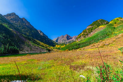 Maroon Creek Valley meadow with autumn color below the Maroon Bells, Aspen Colorado