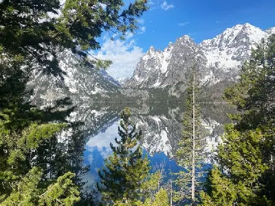 Reflection of the Teton Range in Jenny Lake with trees in the foreground, Grand Teton National Park, Wyoming, USA.