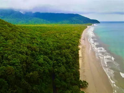 Aerial view looking down a vast coastline where a dense expanse of tropical jungle meets a long sand beach and rolling ocean waves under a cloudy sky.