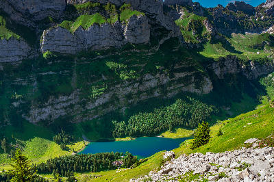 Elevated view of Seealpsee below steep limestone cliffs, with forest, alpine slopes, and valley floor in the Alpstein mountains, Switzerland.