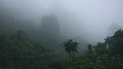 Dense morning fog over lush montane forest on the Ngorongoro Highlands surrounding the Ngorongoro Conservation Area in Tanzania.