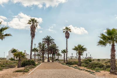 Palm-lined Lampies Drive leads through the coastal homes and dune landscapes of Britannia Bay on South Africa's West Coast.