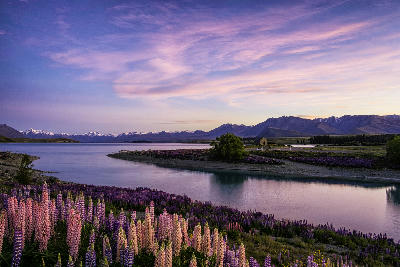 Lake Tekapo