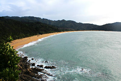 Elevated view over the curved shoreline of Tōtaranui Beach in Abel Tasman National Park, New Zealand.