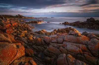 Orange lichen-covered granite coastline at sunrise at larapuna / Eddystone Point, Tasmania.