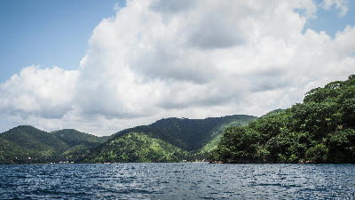 Forested mountains of Mahale Mountains National Park rising above Lake Tanganyika in western Tanzania.