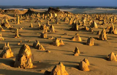 Limestone pinnacles cast long shadows across the sandy desert in warm late-afternoon light.