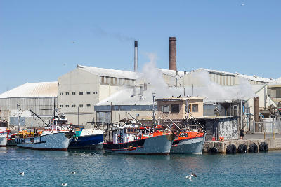 Fishing boats moored in Lambert's Bay Harbour with fish processing buildings, steam vents and industrial chimneys overlooking the waterfront.