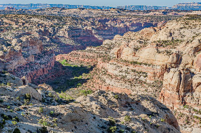 Eroded Navajo Sandstone cliffs and canyon terrain in the Calf Creek area of Grand Staircase–Escalante National Monument, Utah, shaped by water over time.