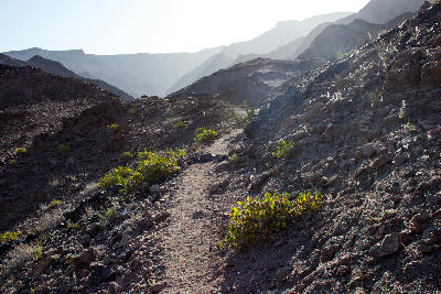 Narrow hiking path winding through rocky desert terrain inside Fish River Canyon with layered canyon walls fading into the distance in southern Namibia.