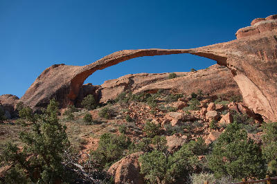 Landscape Arch seen through trees and rocky slope in Arches National Park Utah
