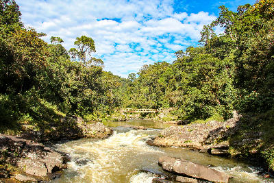 River rapids flowing through dense rainforest in Ranomafana National Park, Madagascar