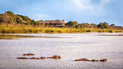 Hippos submerged in the Sabie River with Lower Sabie Rest Camp visible on the riverbank in Kruger National Park.