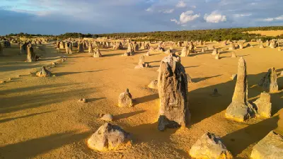 Limestone pinnacles cast long shadows across the golden sands of the Pinnacles Desert.