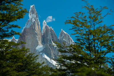 Cerro Torre peaks seen through foreground trees with snow-covered granite spires in Patagonia, Argentina.