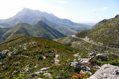 A hiker crosses rocky fynbos slopes above Outeniqua Pass, overlooking the winding mountain road and rugged peaks of the Outeniqua Mountains near George.