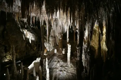 Dense stalactites and limestone formations inside the illuminated chambers of Mammoth Cave near Margaret River, Western Australia.