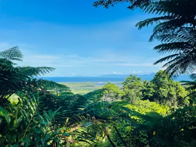 A vibrant horizontal colour image framed naturally by dark green fern fronds and dense tropical foliage, revealing a central view of the lush Daintree River National Park lowlands, the blue ocean, and a clear bright sky.