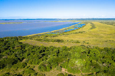 Drone view of a lakeside lodge surrounded by dune forest on the shores of Lake St Lucia in iSimangaliso Wetland Park, South Africa.
