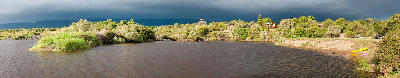Panorama of the Breede River at Bontebok National Park near Swellendam in the Western Cape of South Africa.