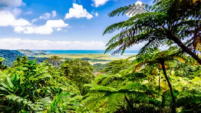Sunlight illuminates the vibrant green leaves of a tropical rainforest canopy overlooking a distant beach, river mouth, and ocean.
