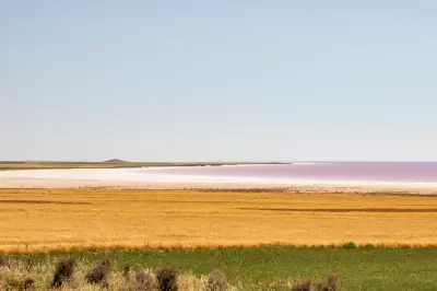Pink-tinted waters of Lake Tuz bordered by golden and green farmland beneath a clear sky in Central Anatolia, Turkey.