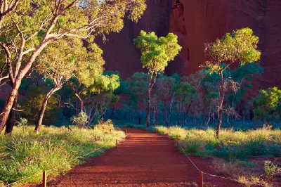 Red walking path winds through eucalyptus trees toward Mutitjulu Waterhole beneath the towering rock face of Uluru.