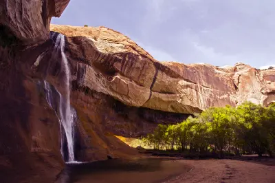 Lower Calf Creek Falls plunges from a towering sandstone alcove into a shaded pool surrounded by green vegetation.