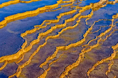 Mammoth Hot Springs terraces close up Yellowstone National Park travertine mineral patterns geothermal pools Wyoming USA