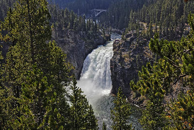Upper Falls of the Yellowstone River framed by pine trees with bridge visible upstream