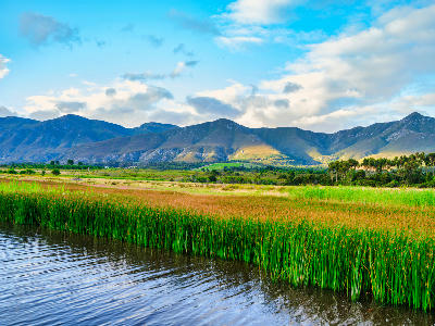 Green reeds and calm water along the Klein River near Stanford with the Kleinrivier Mountains rising in the background under a partly cloudy sky.