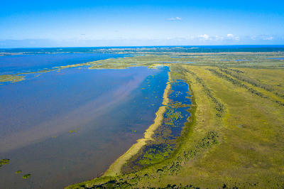 Drone view of False Bay wetlands and shallow lake margins in iSimangaliso Wetland Park, South Africa.