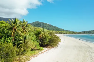 Tall palm trees and dense green rainforest line a sweeping white sand beach that curves alongside calm blue water beneath a bright sky.