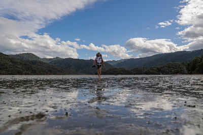 Hiker crossing the tidal mudflats of Awaroa Inlet at low tide in Abel Tasman National Park, New Zealand.