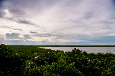 Panoramic view of the Linyanti wetlands beneath dramatic storm clouds in northern Botswana.