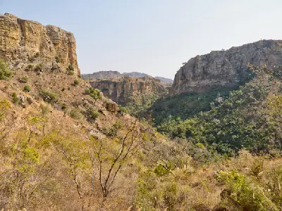 Dry canyon vegetation and sandstone cliffs inside Isalo National Park, Madagascar